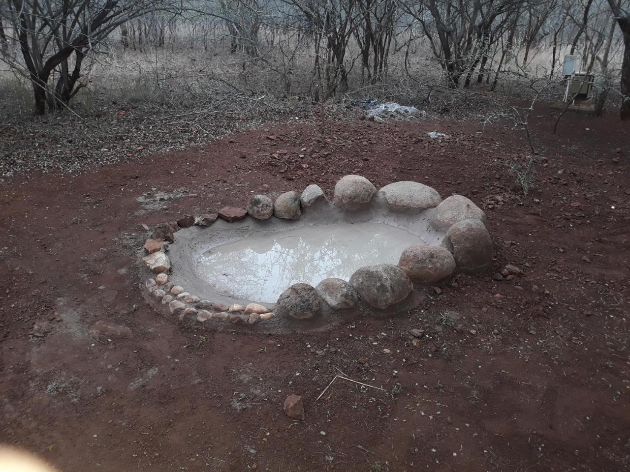 Little Bush Baby Villa Marloth Park Dış mekan fotoğraf